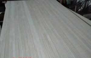 3d5e65290a037fe92774d316a47cc52e