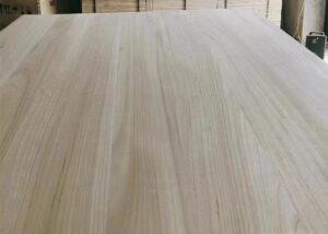 abe6a6977ee90a3ac8fc48cba5489eca