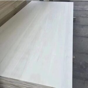 cropped 微信图片 20250324091921