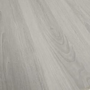 cropped 微信图片 20250324150442