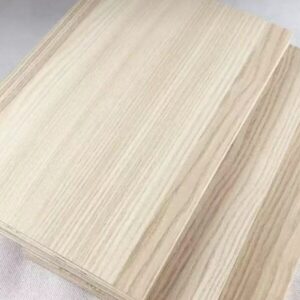 cropped 微信图片 20250324150453 300x300