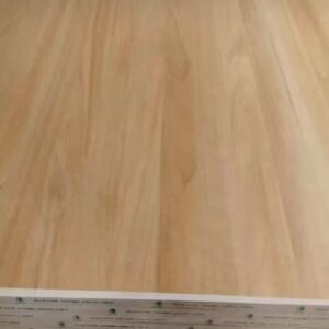 cropped 微信图片 20250324151340