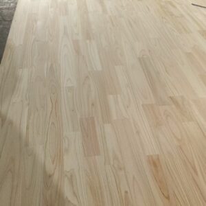 cropped 微信图片 20250716115610 (1)