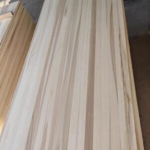 cropped 杨木8 300x300